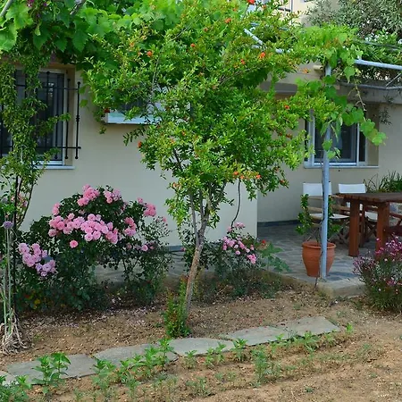Villas Zoe Ksanemos Extérieur photo